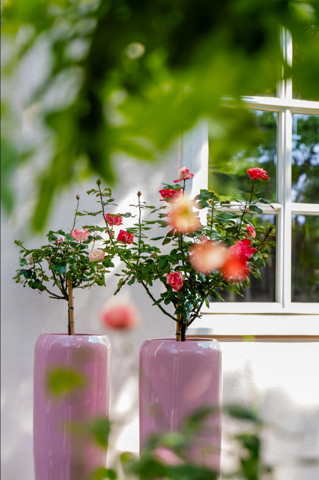 Schlosshotel Wilhelmsthal Calden エクステリア 写真